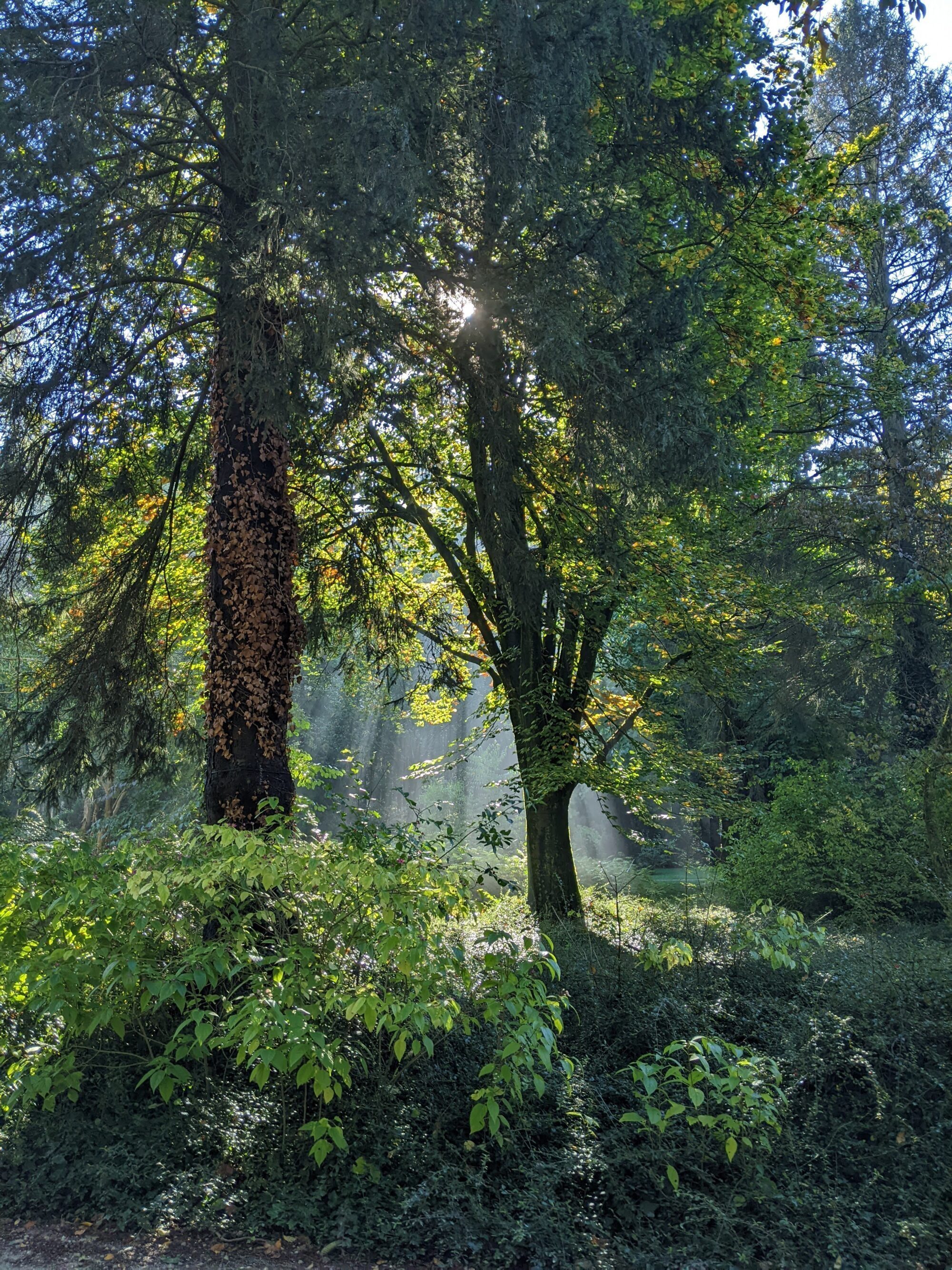 Psycholoog Rotterdam vertelt voor en nadelen EMDR