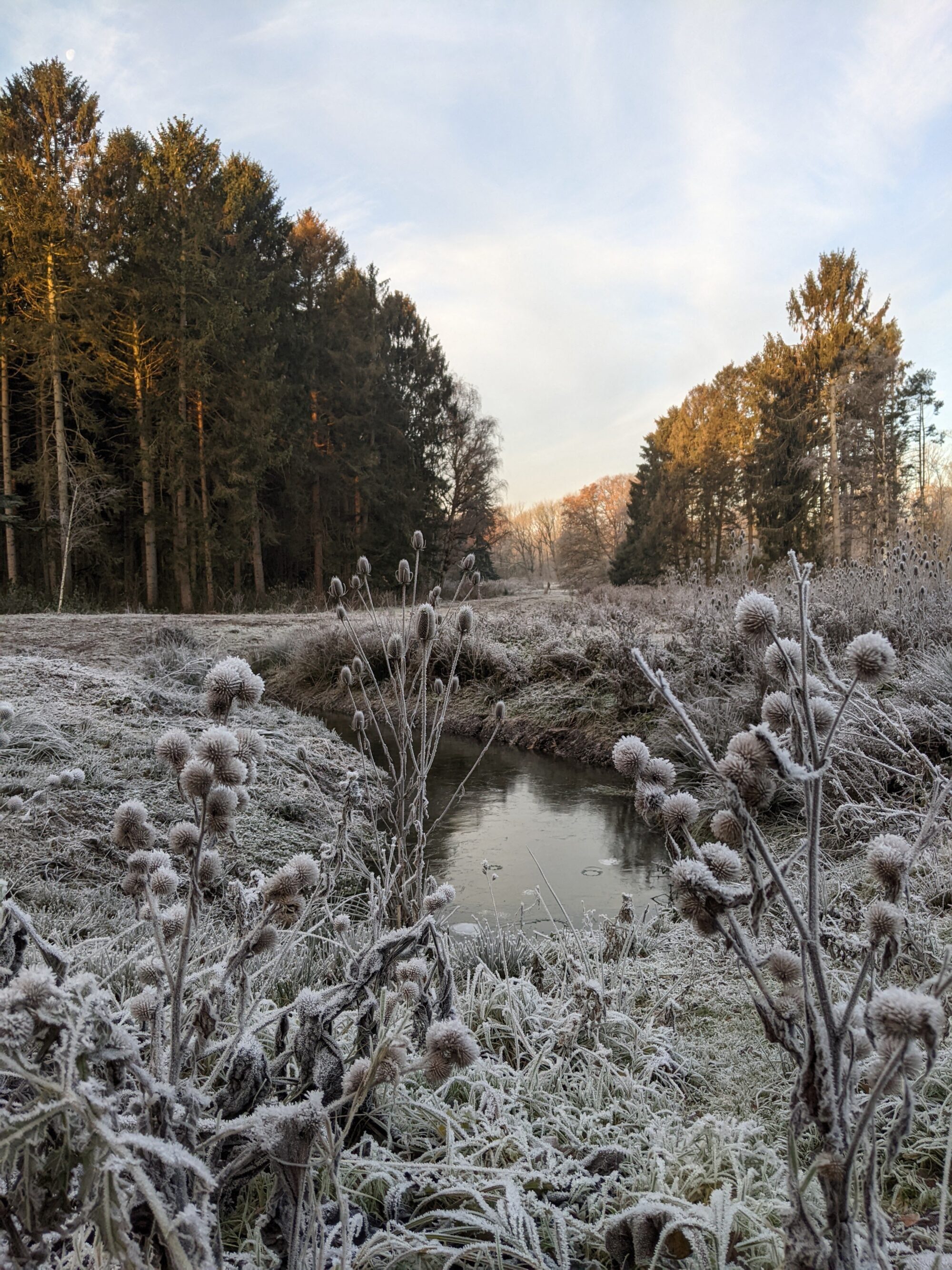 Voorkom een winterdip