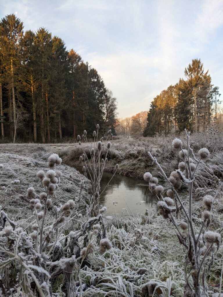 Voorkom een winterdip