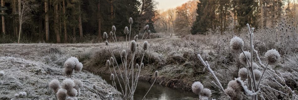 Voorkom een winterdip