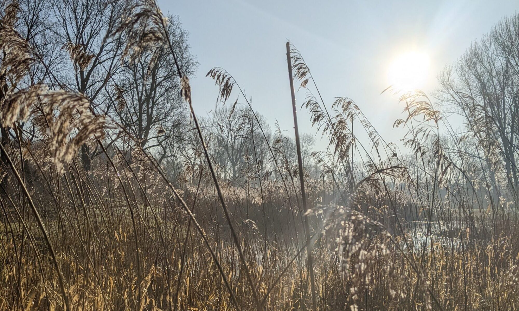 Verwijs door naar een van de prachtige wandellocaties van psycholoog Rotterdam.