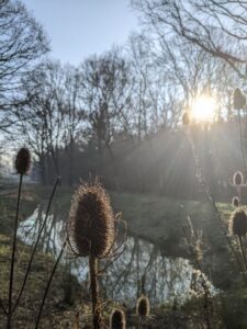Prachtig uitzicht tijdens het leren omgaan met aanhoudende lichamelijke klachten met buitenpsycholoog Rotterdam.