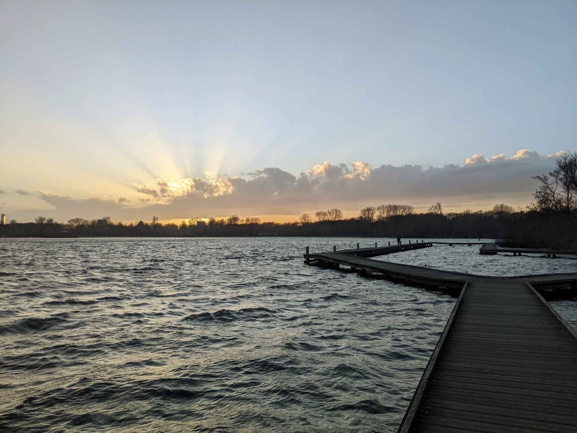 Behandelen van depressie met de psycholoog in de natuur van Rotterdam of Barendrecht.