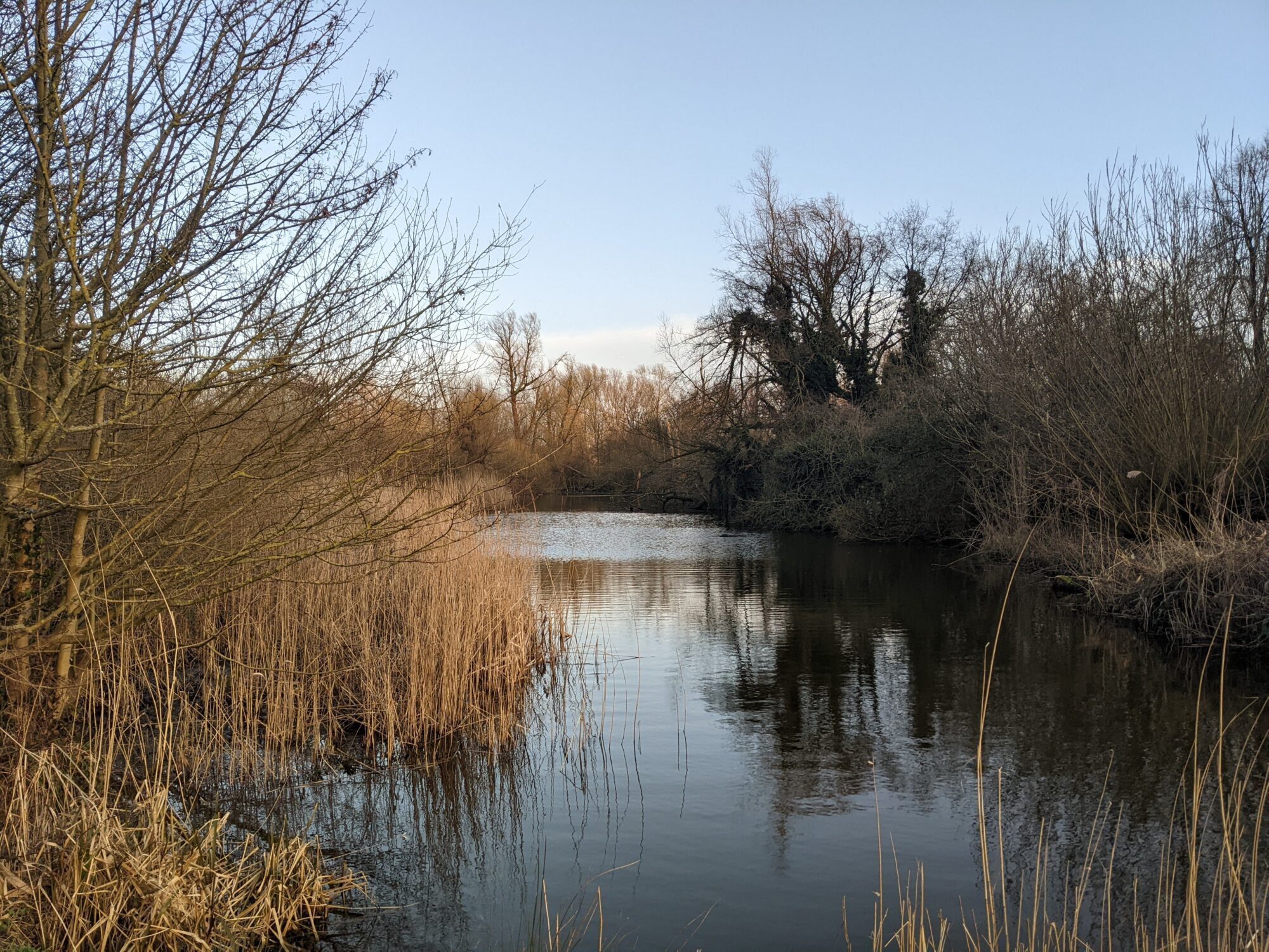 Prachtig uitzicht in Kralingen tijdens therapie in de natuur van Rotterdam met psycholoog Susan van Hacht.