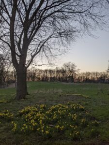 Prachtig uitzicht tijdens het omgaan met veranderingen met psycholoog rotterdam.