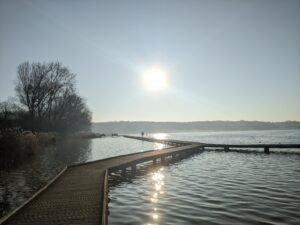 Therapie in de natuur met de psycholoog in het kralingse bos voor een positief zelfbeeld.