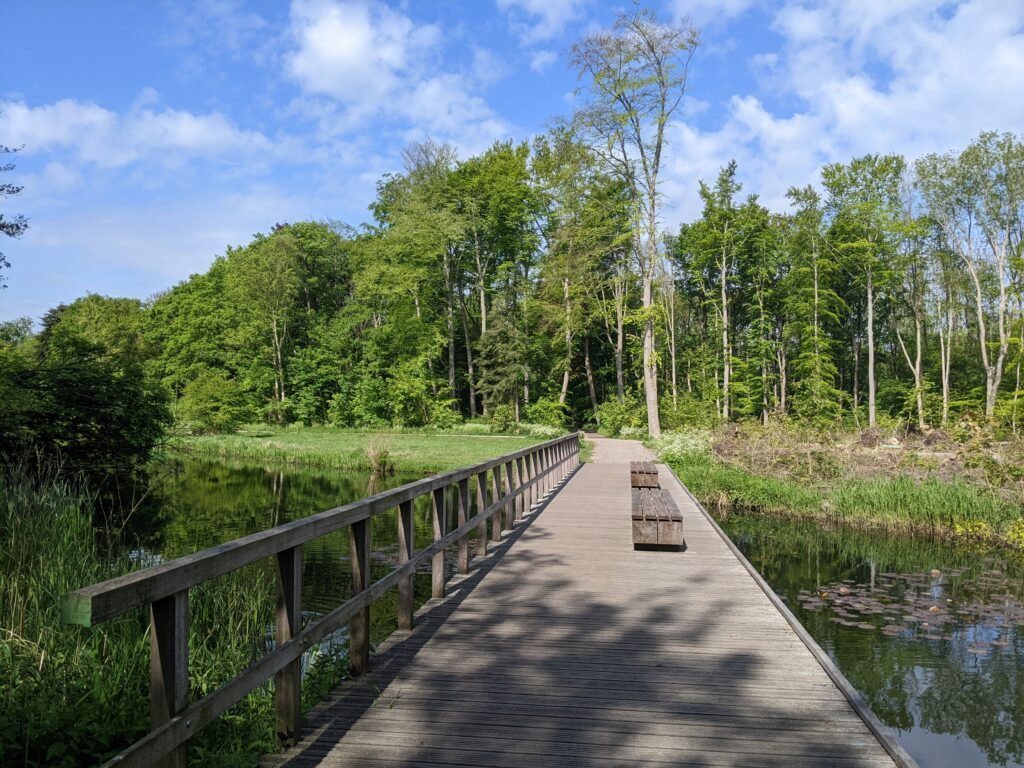 Wandellocatie Rotterdam Kralingen, Kralingse Bos