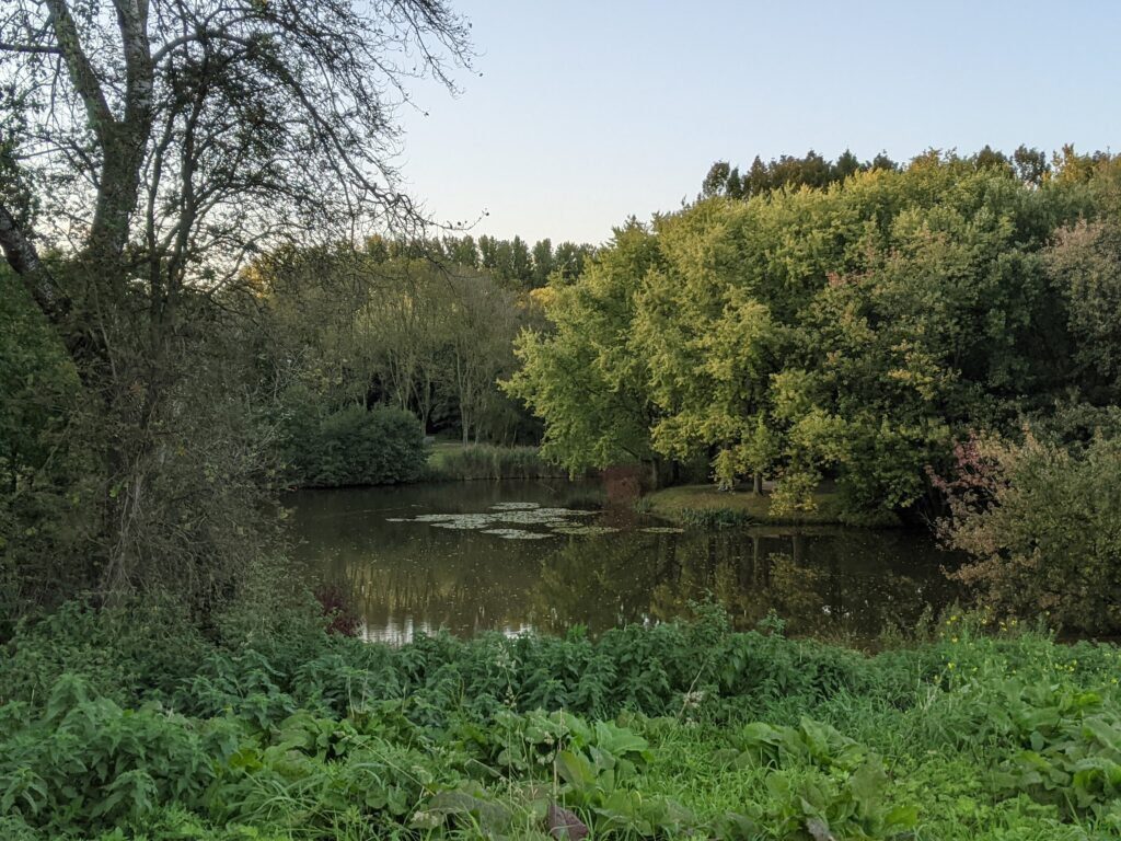 Wandellocatie Rotterdam Zuid, Park de Twee Heuvels