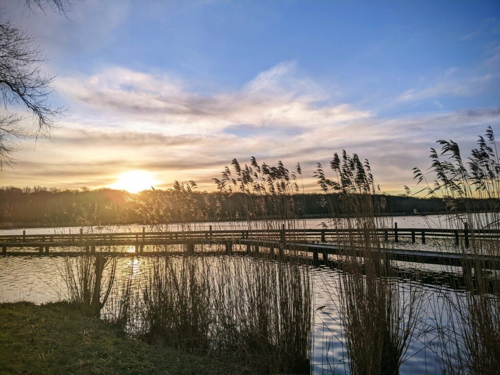 Behandel je klachten met een psycholoog in de natuur van rotterdam of barendrecht