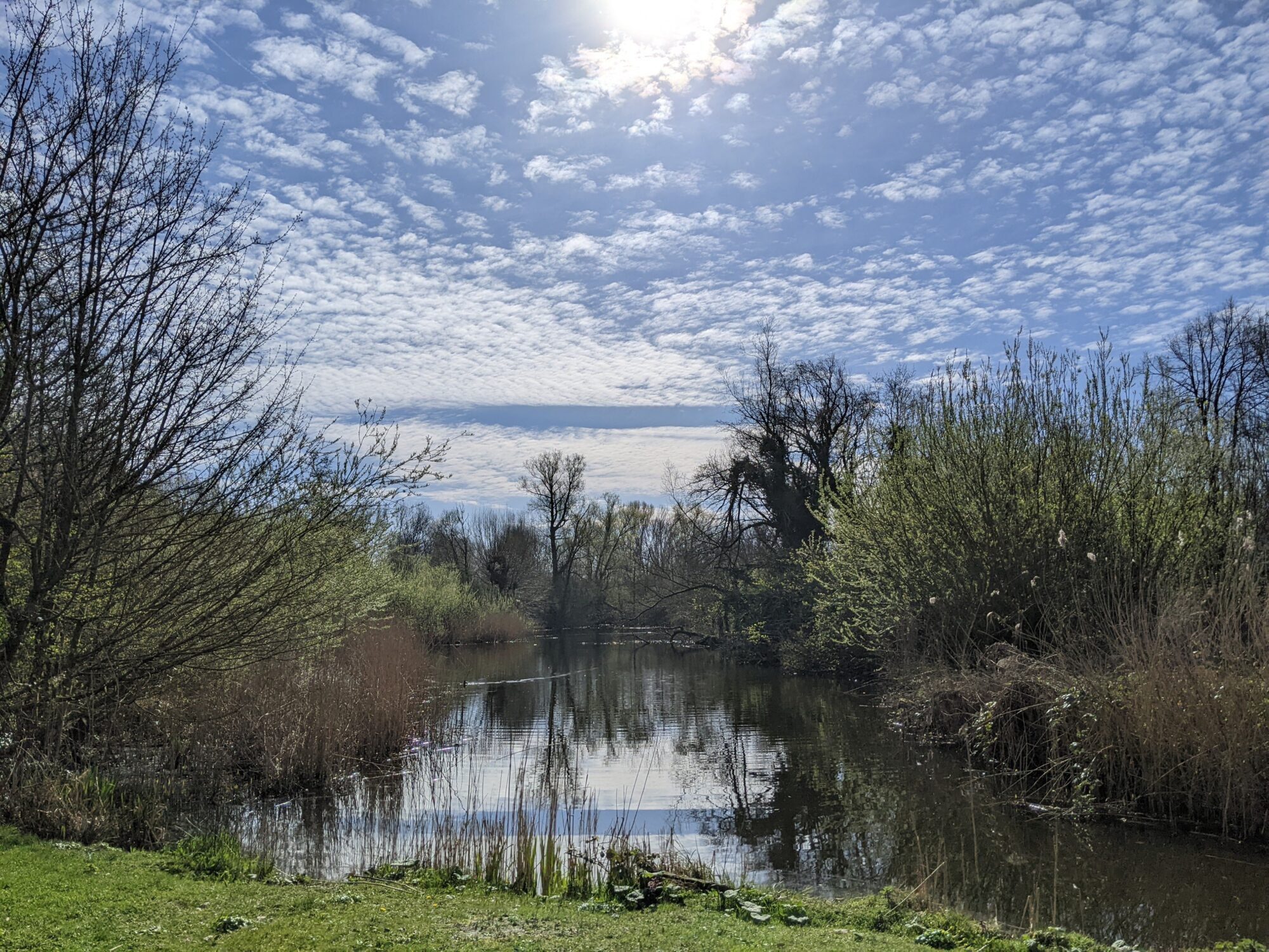 Prachtig uitzicht tijdens therapie in de natuur met de psycholoog Rotterdam.