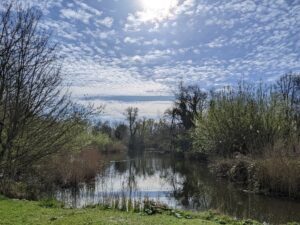 Prachtig uitzicht tijdens therapie in de natuur met de psycholoog Rotterdam.