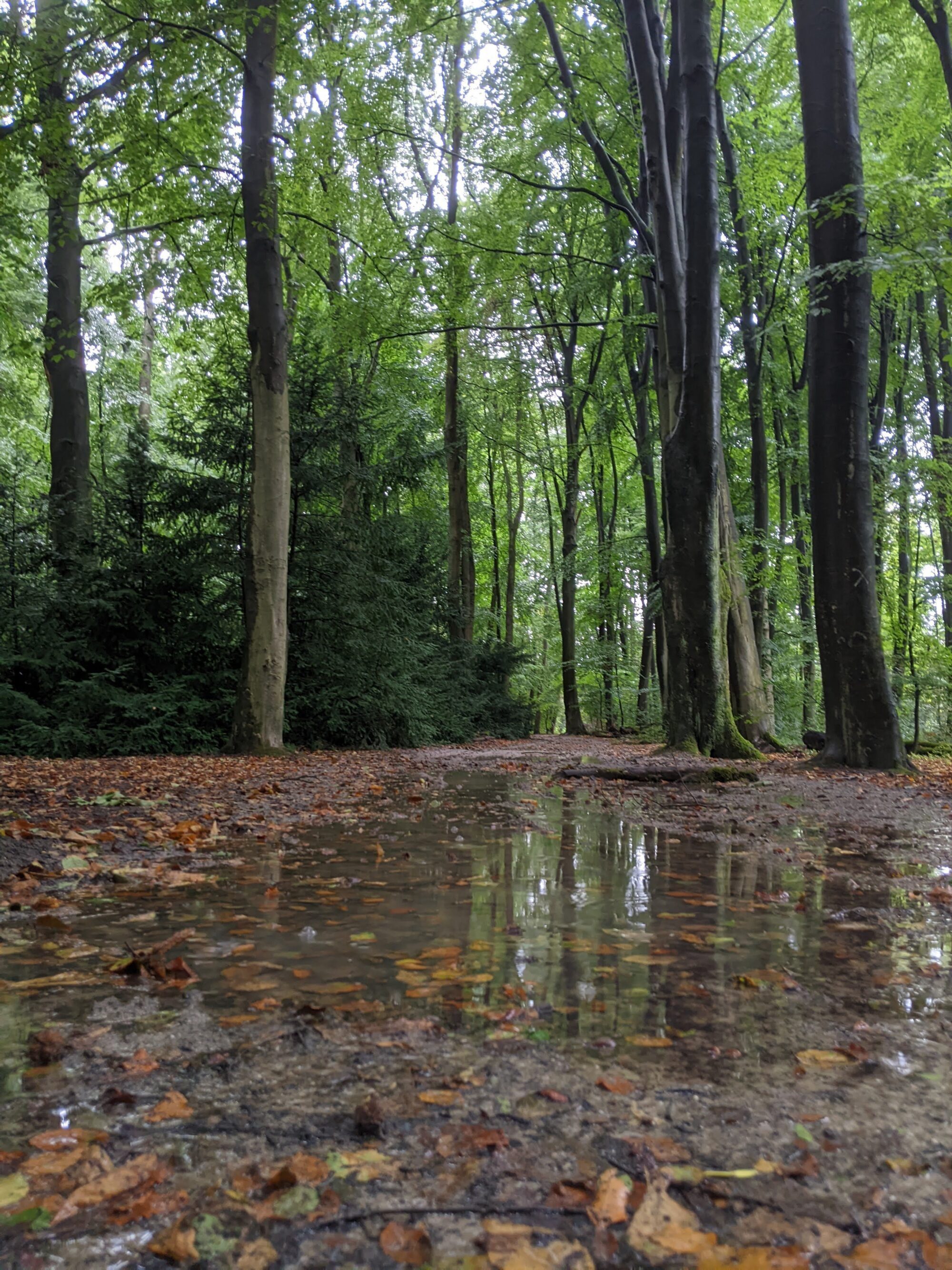 Zoek je een psycholoog of psychiater in Rotterdam?
