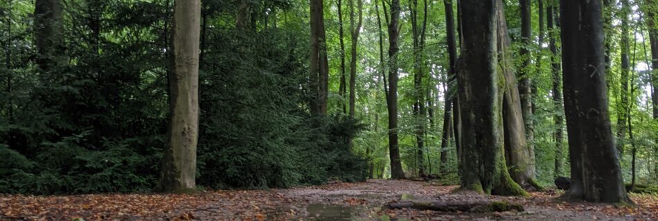 Zoek je een psycholoog of psychiater in Rotterdam?