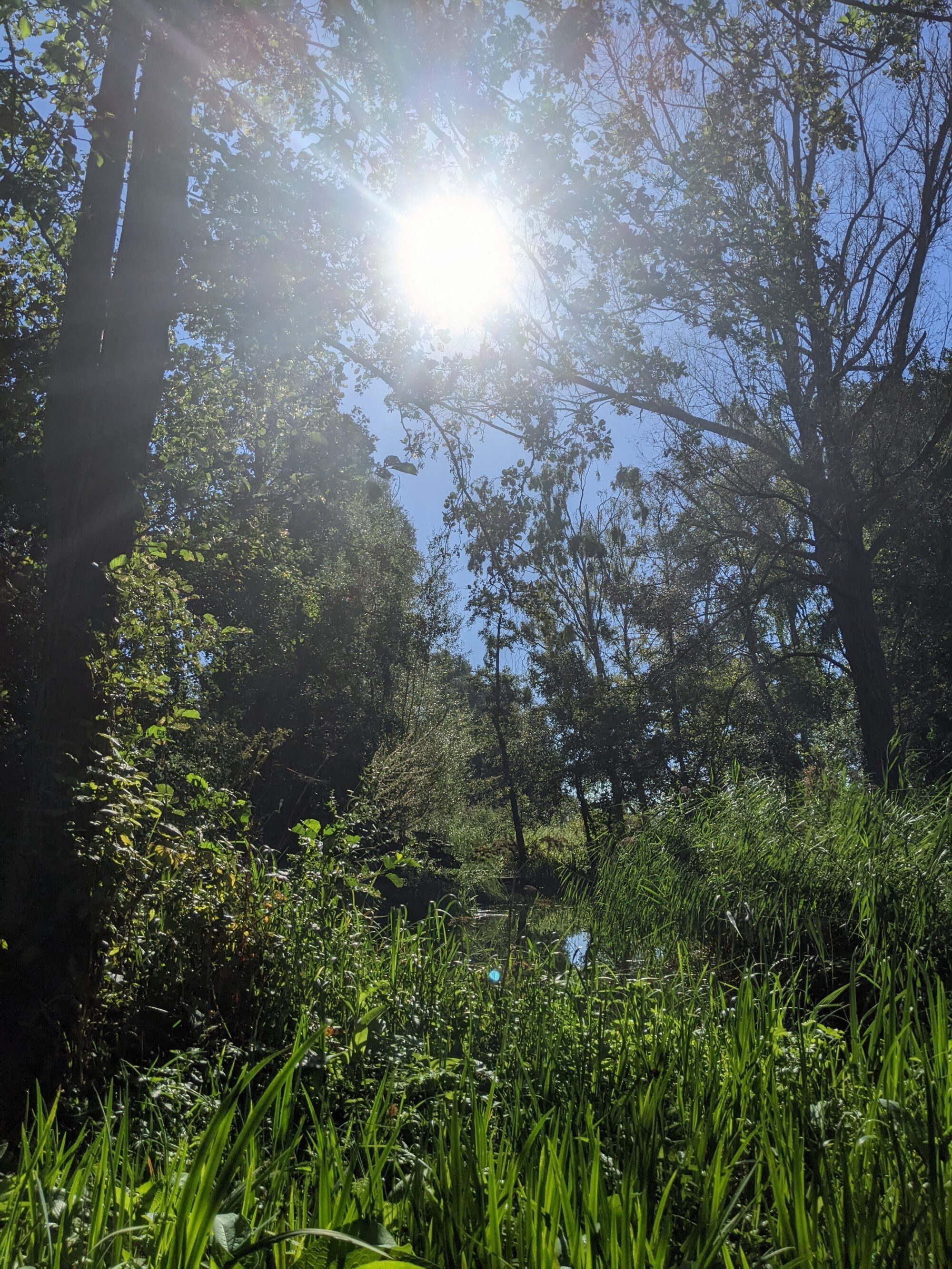 Hoe vind ik een psycholoog in Rotterdam?