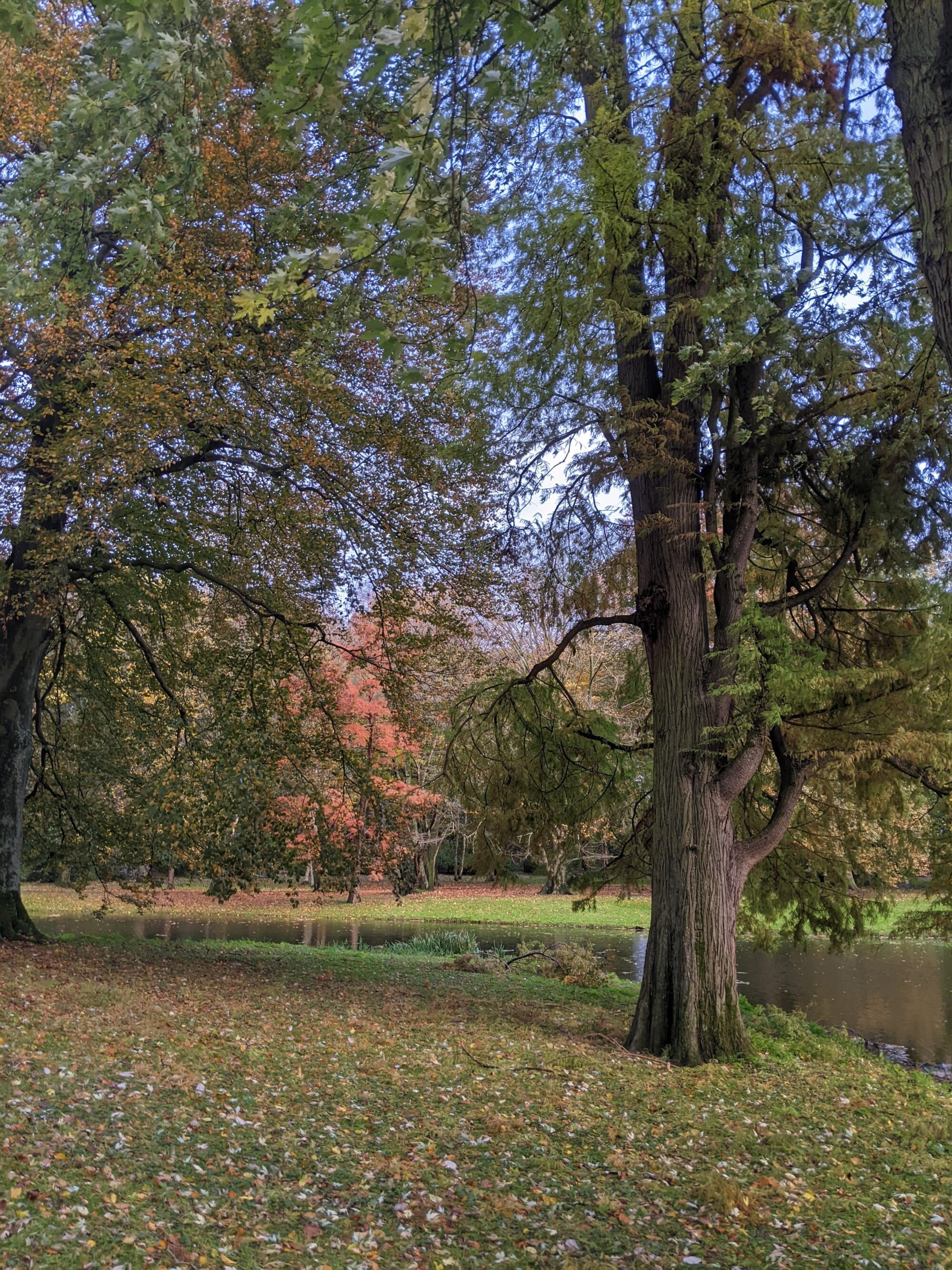 Zoek je een psycholoog in Capelle aan den IJssel?