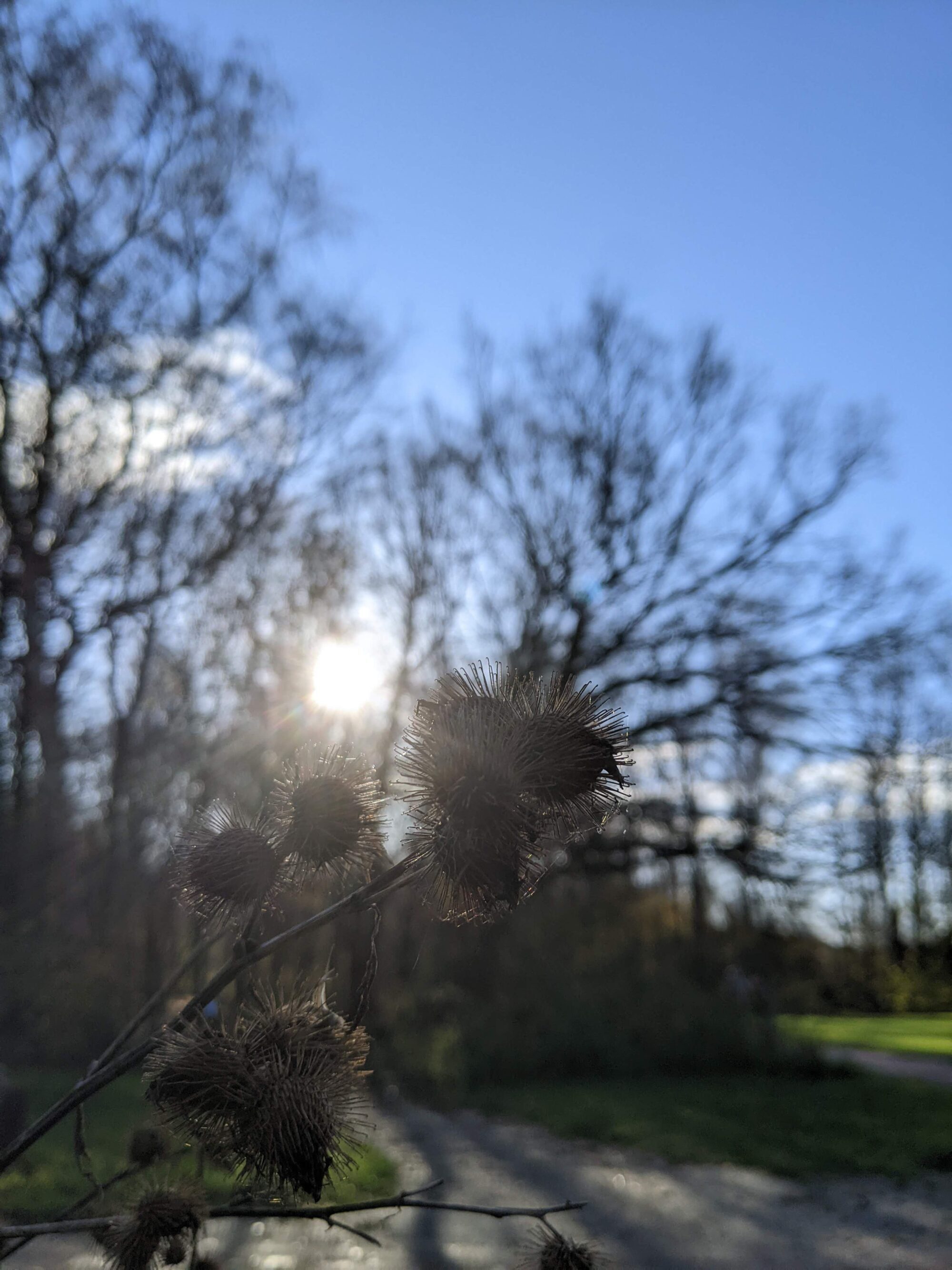 Over buitenpsychologie voor psychologen.
