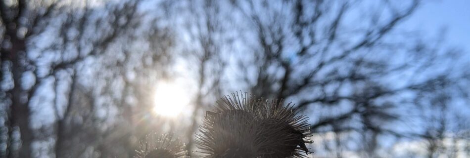 Over buitenpsychologie voor psychologen.