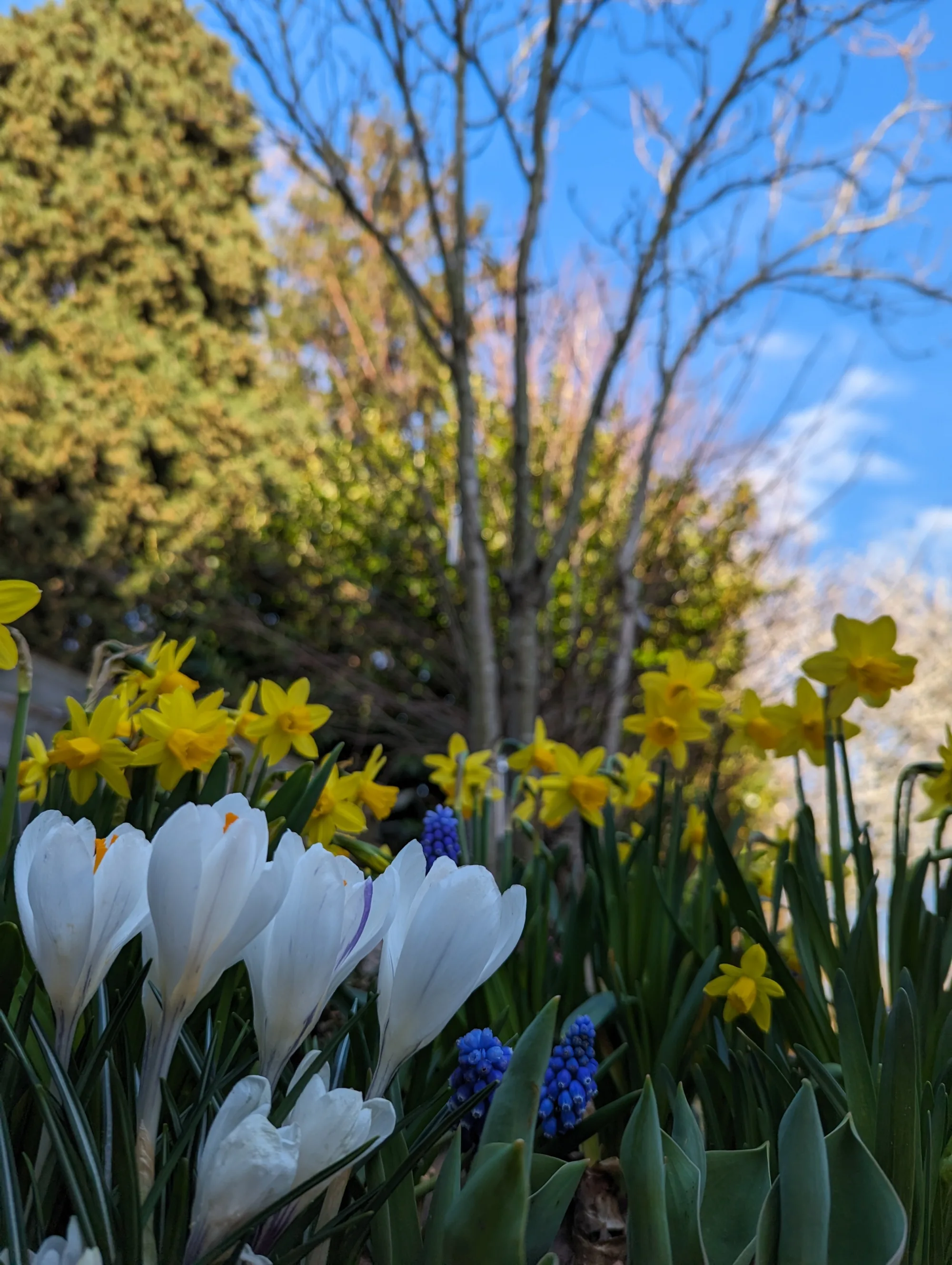 De invloed van de lente op je mentale gezondheid en gemoed.