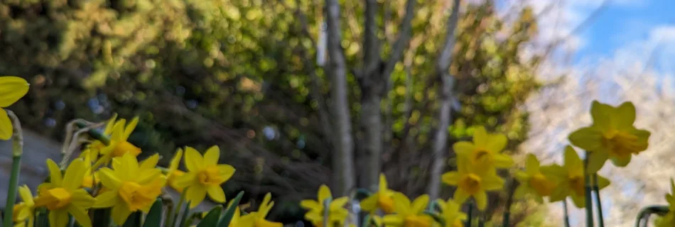 De invloed van de lente op je mentale gezondheid en gemoed.