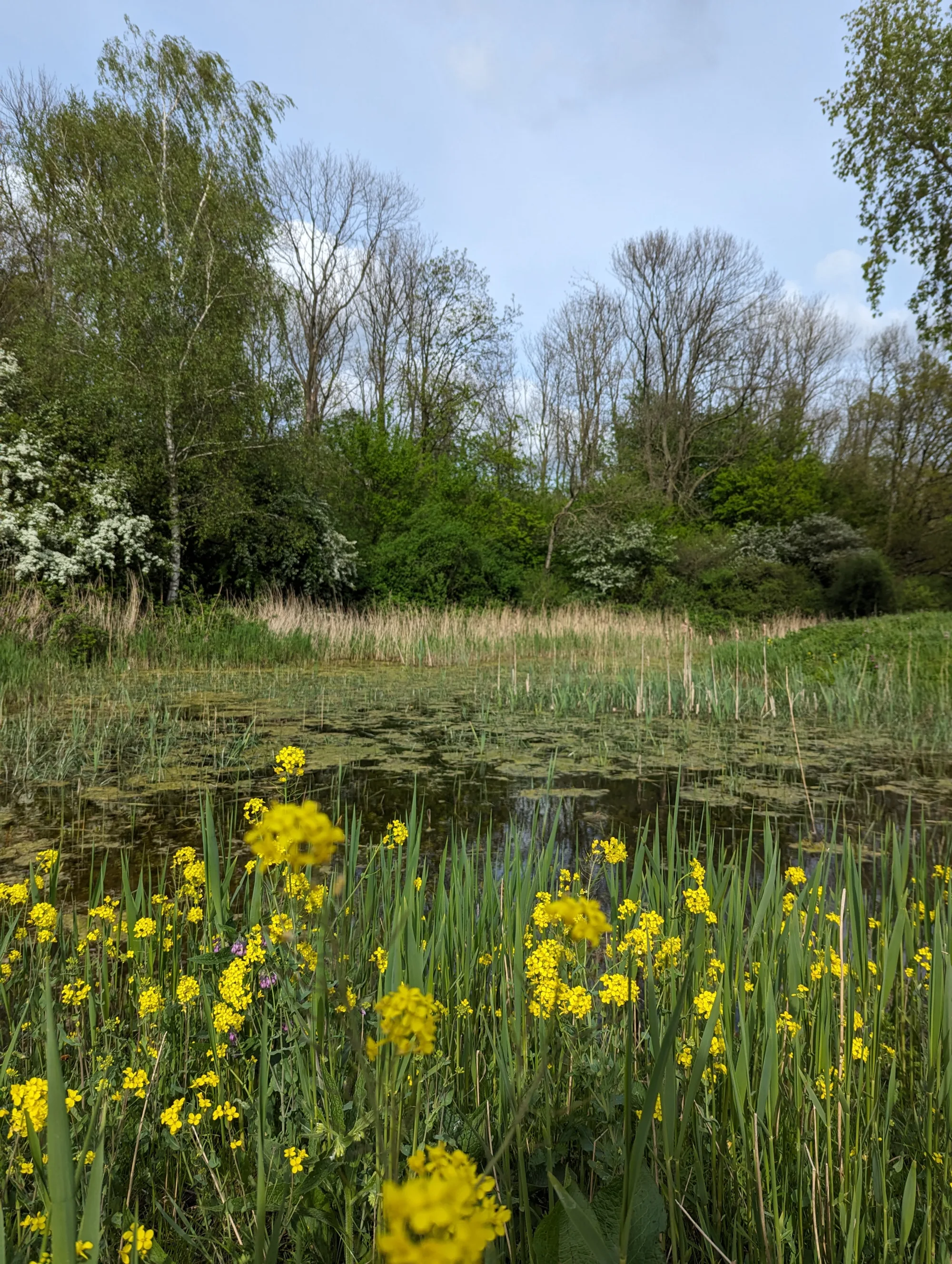 Psycholoog Rotterdam April doet wat ie wil.