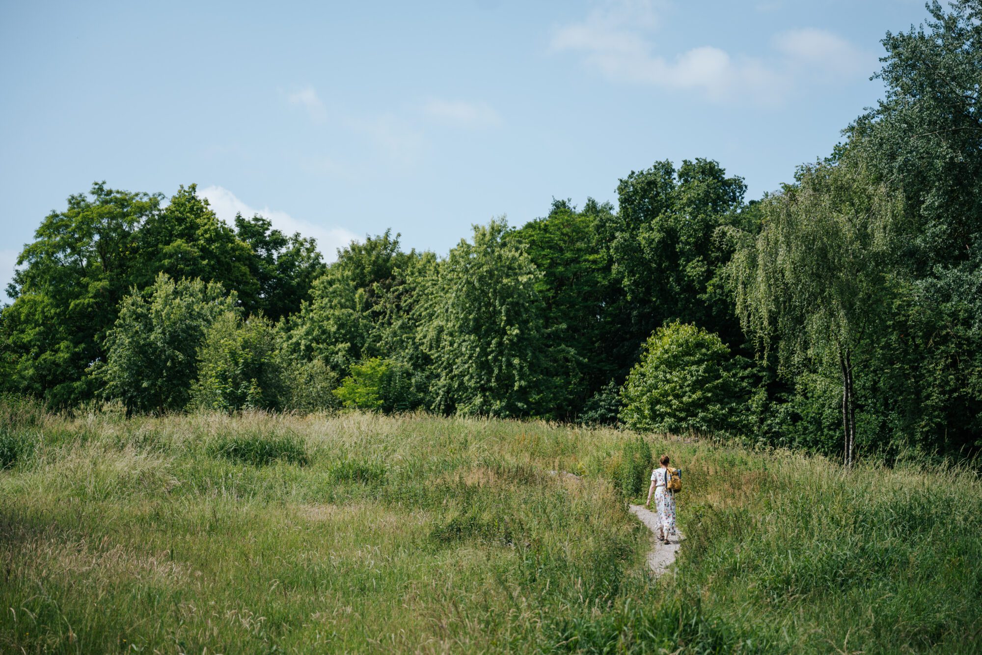 Welkom bij Buitenpsycholoog Rotterdam.